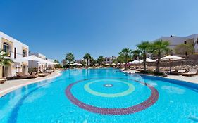 Amphoras Blu Ultra-Ai Adults Friendly